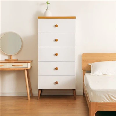 Kabinett tal-Ħżin tal-Ħwejjeġ Minimalista